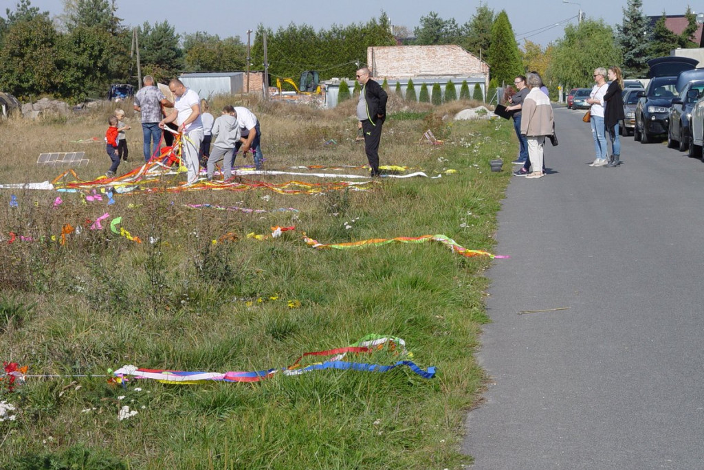 Święto Latawca w Małujowicach