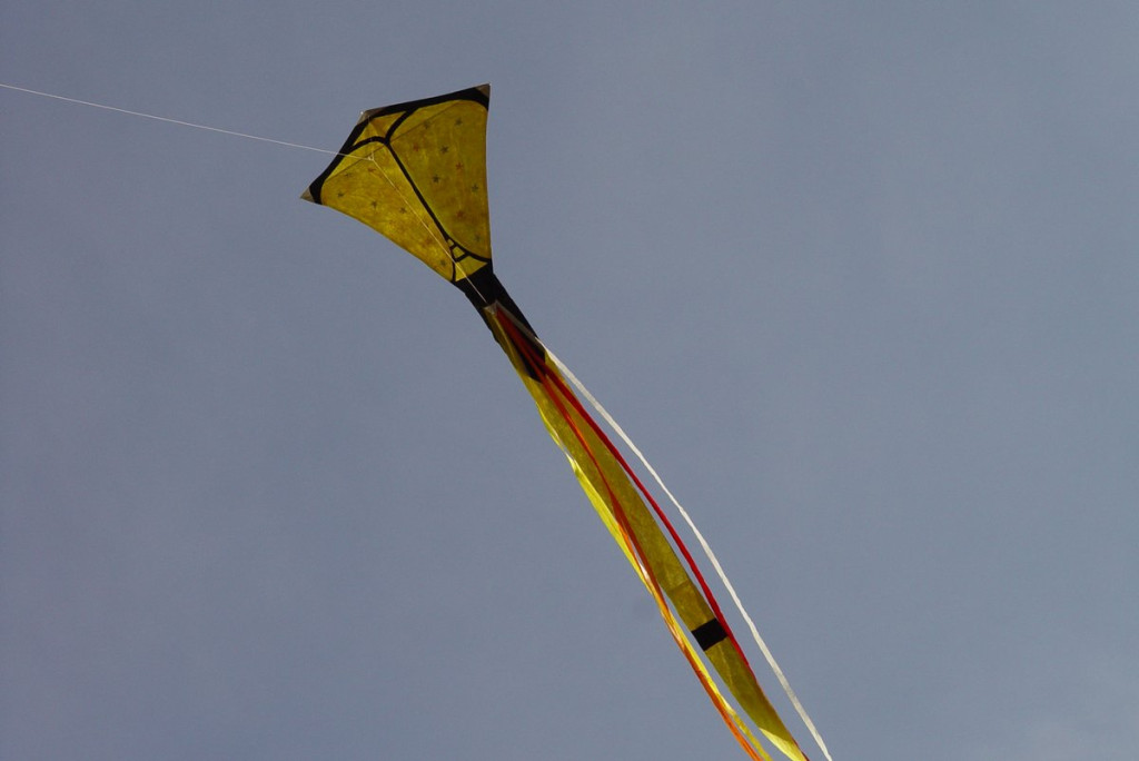 Święto Latawca w Małujowicach