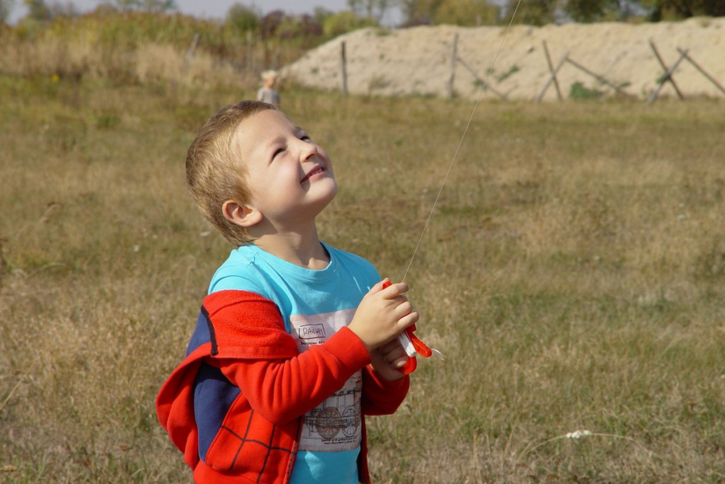 Święto Latawca w Małujowicach
