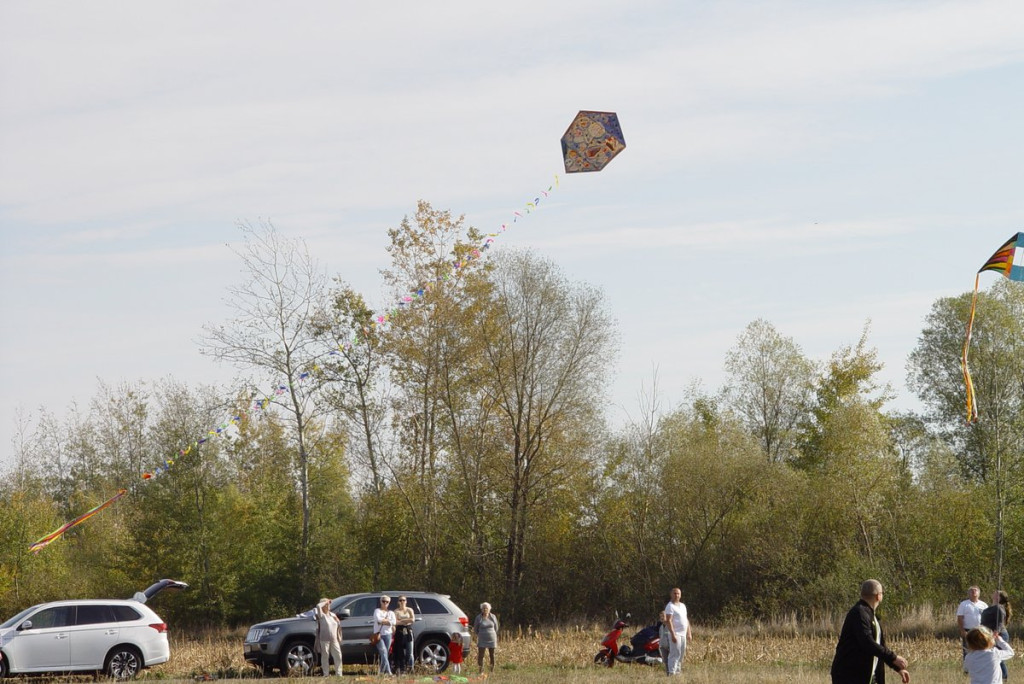 Święto Latawca w Małujowicach