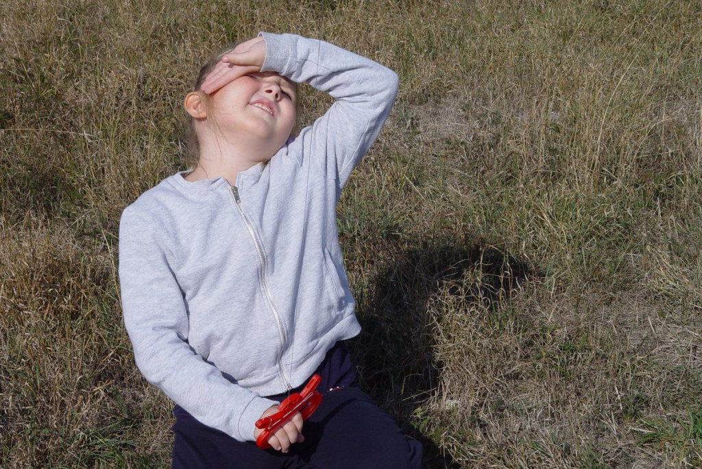 Święto Latawca w Małujowicach