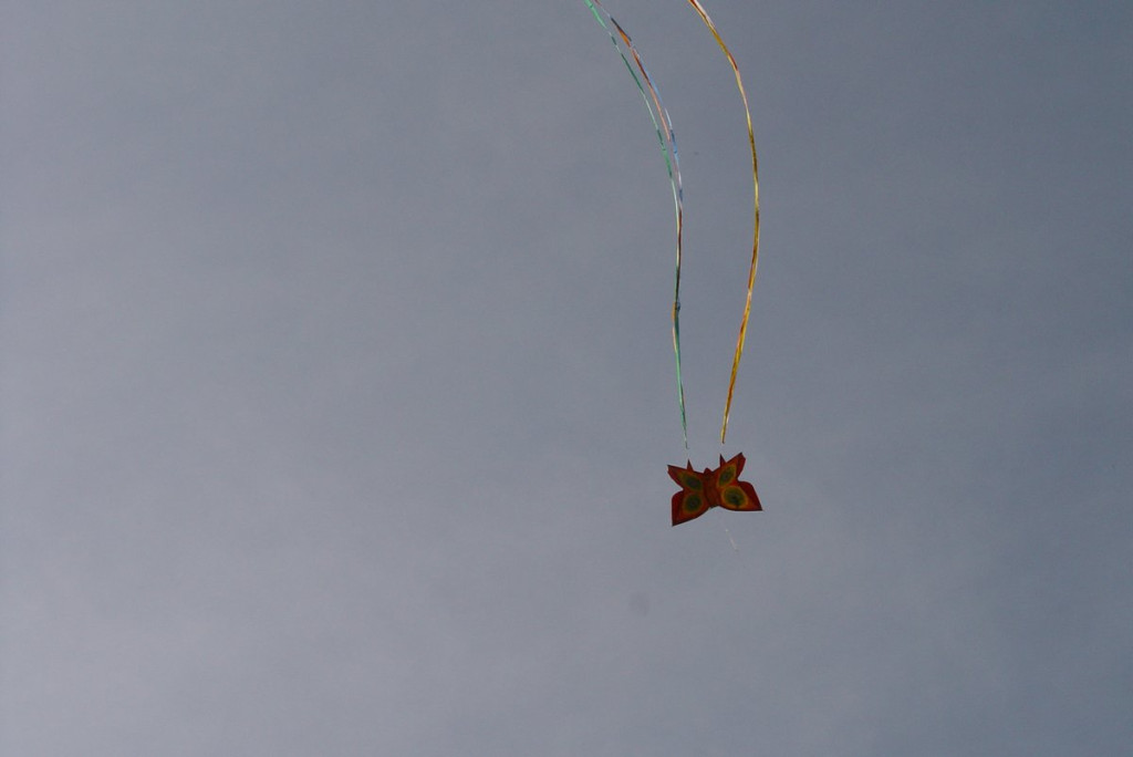 Święto Latawca w Małujowicach