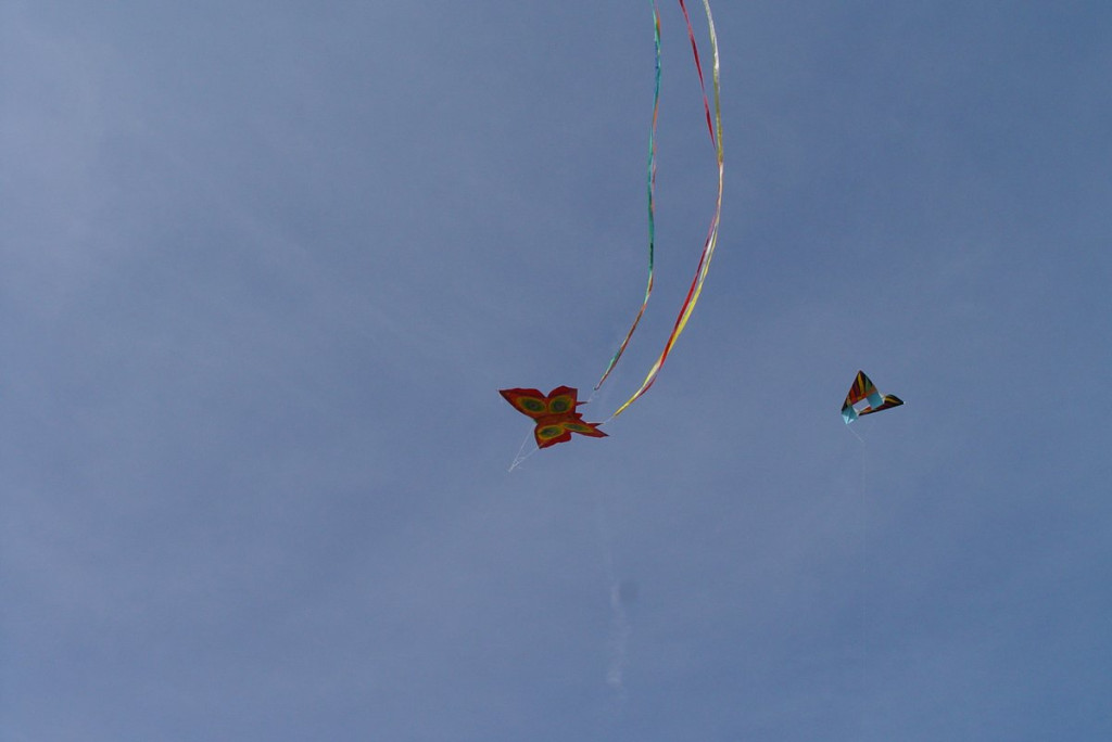 Święto Latawca w Małujowicach