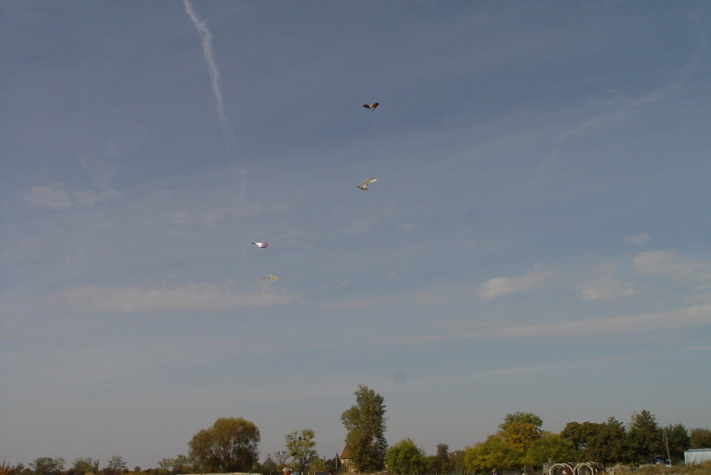 Święto Latawca w Małujowicach