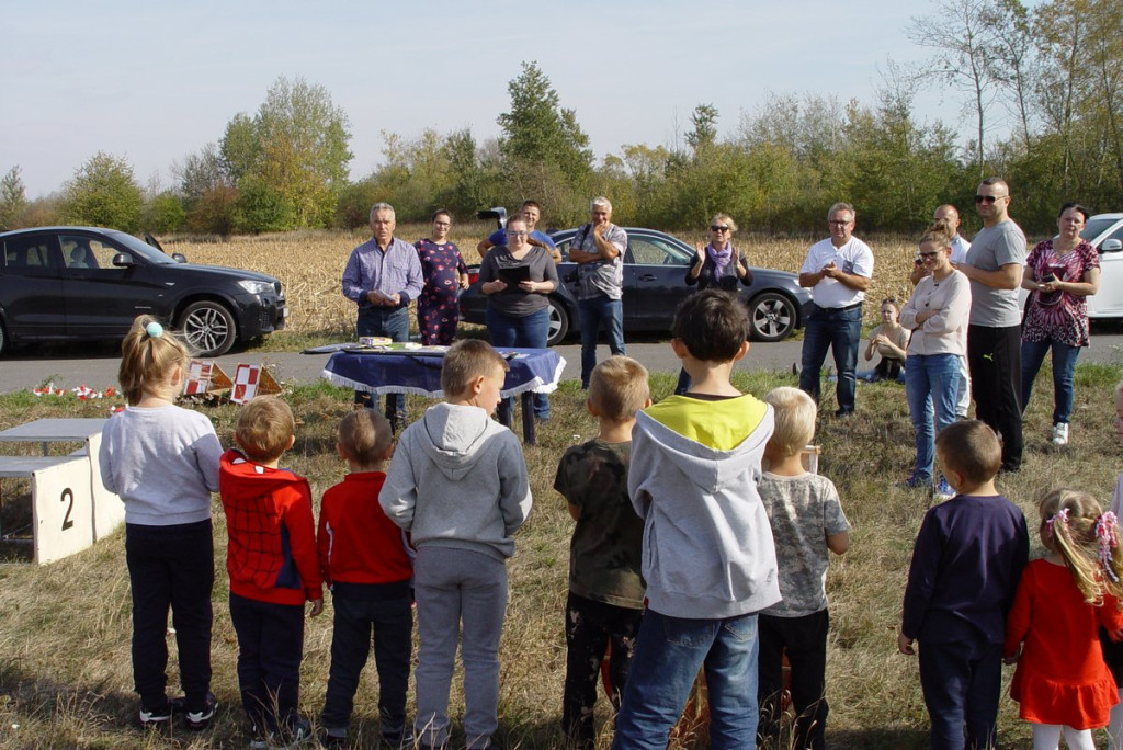 Święto Latawca w Małujowicach