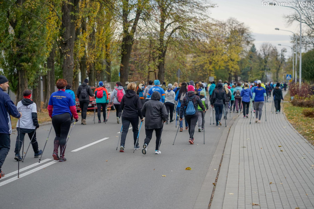Nauczyciele lubią aktywność fizyczną. 