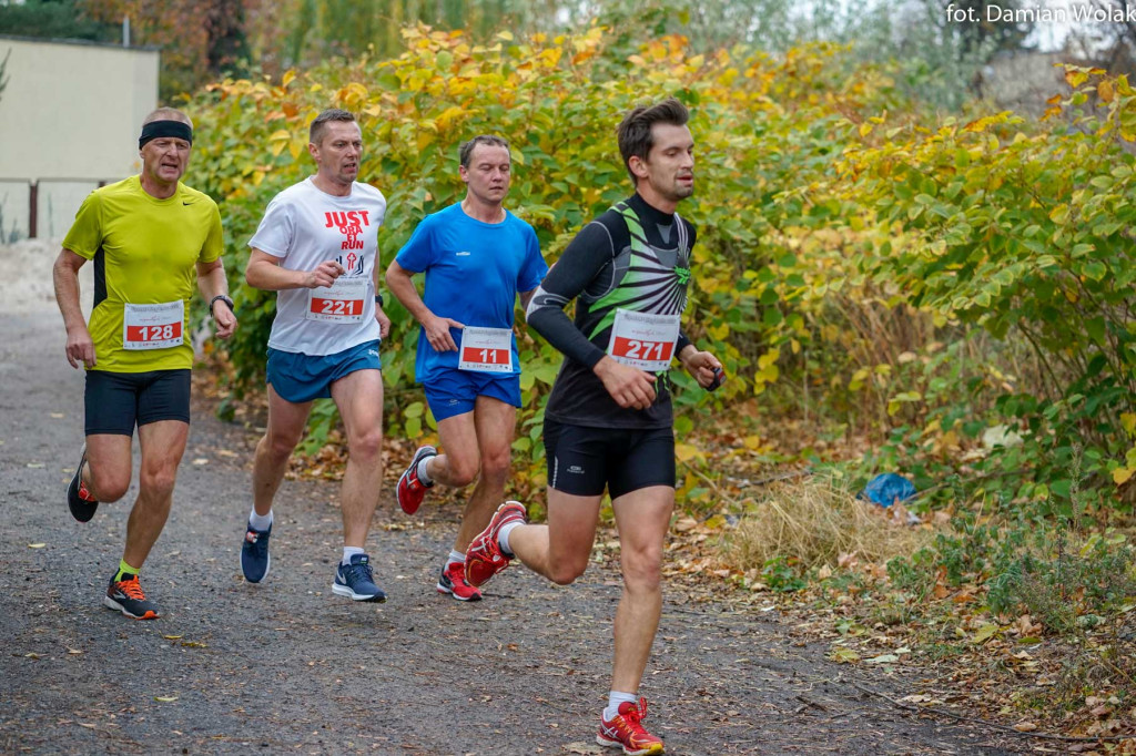 Nauczyciele lubią aktywność fizyczną. 