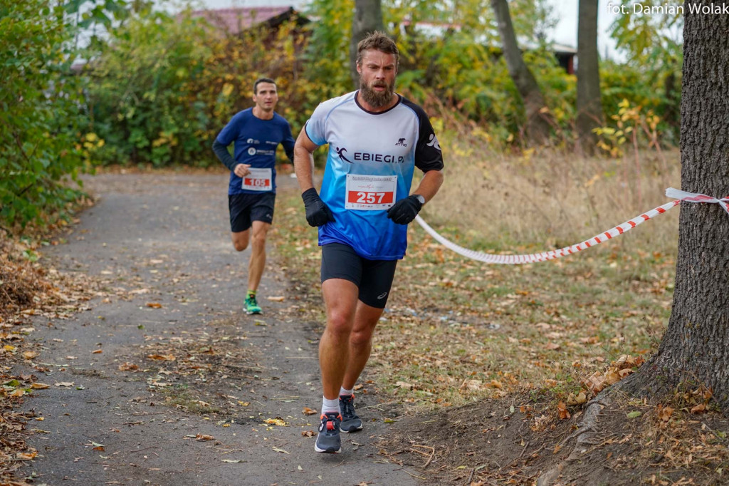 Nauczyciele lubią aktywność fizyczną. 
