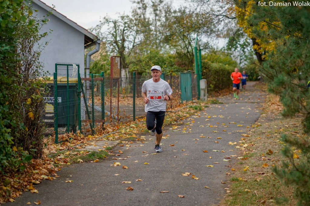 Nauczyciele lubią aktywność fizyczną. 