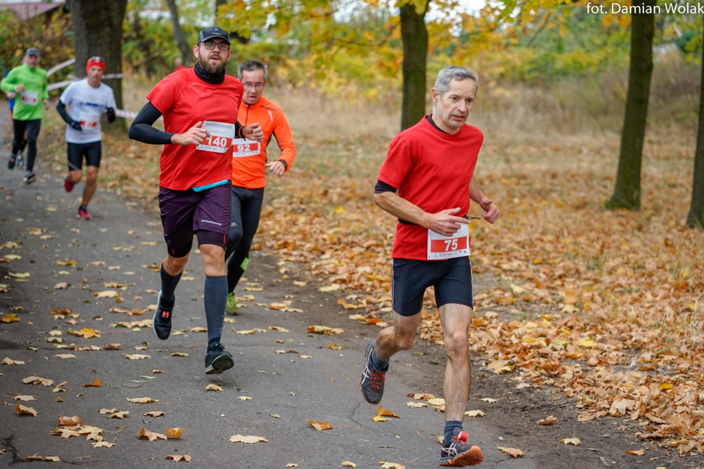 Nauczyciele lubią aktywność fizyczną. 