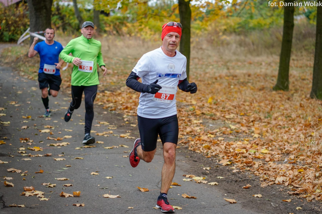 Nauczyciele lubią aktywność fizyczną. 