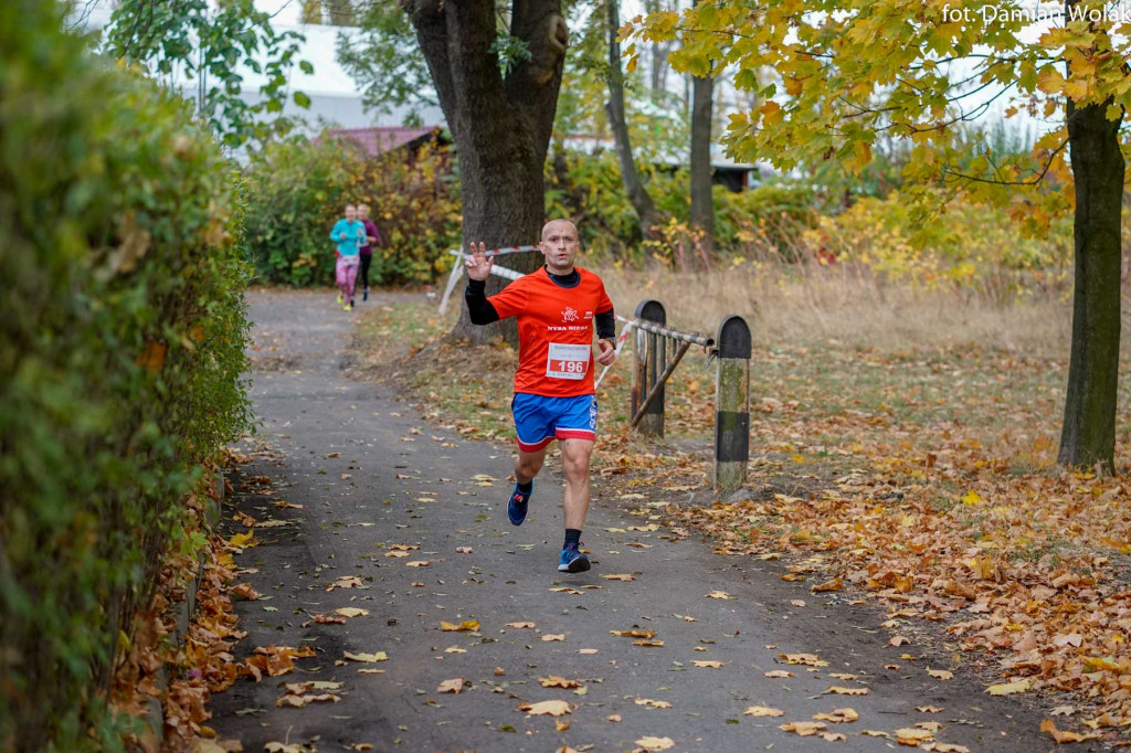 Nauczyciele lubią aktywność fizyczną. 