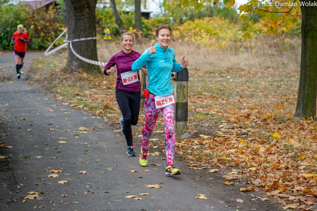 Nauczyciele lubią aktywność fizyczną. 