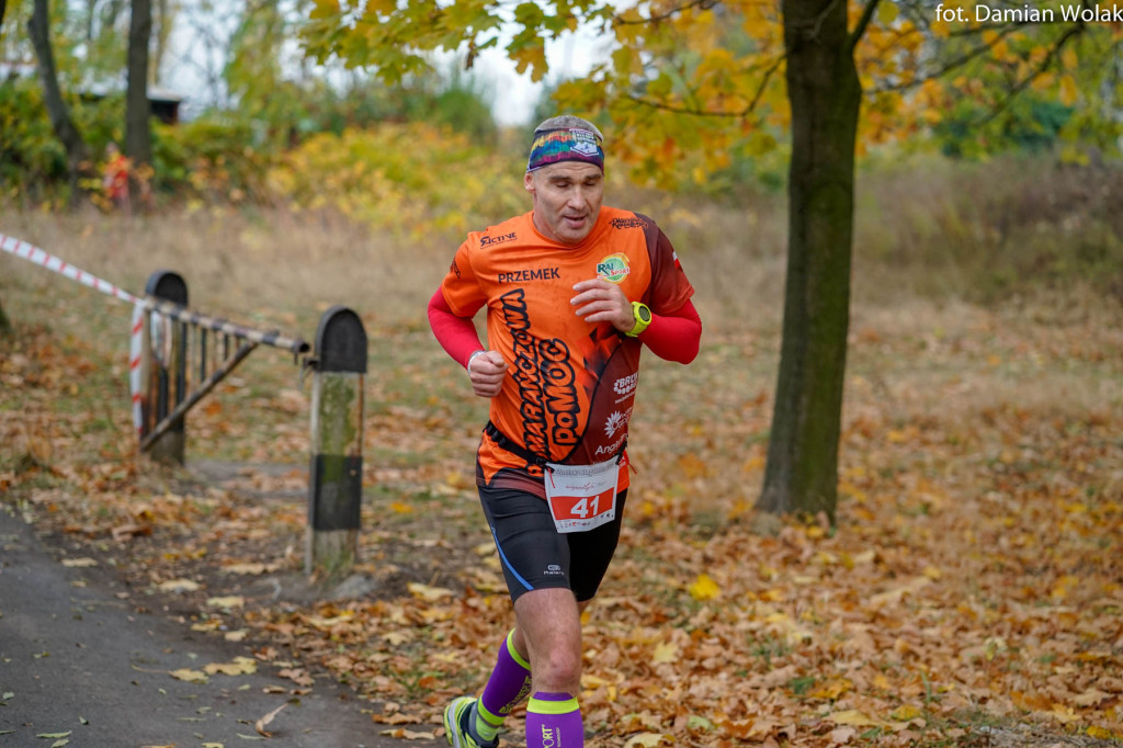 Nauczyciele lubią aktywność fizyczną. 