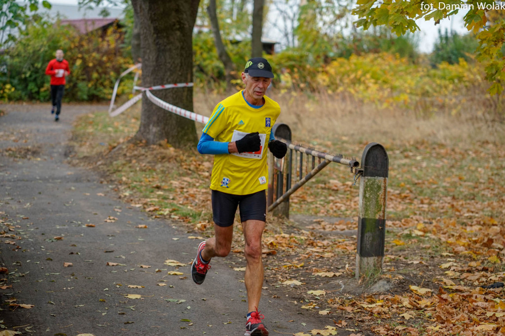 Nauczyciele lubią aktywność fizyczną. 