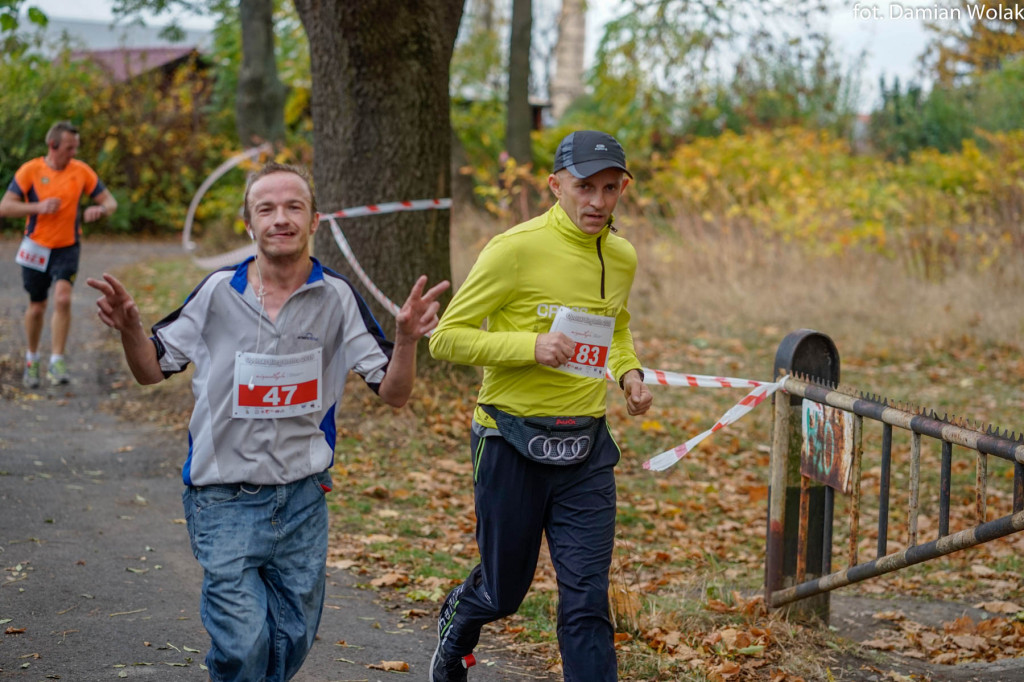 Nauczyciele lubią aktywność fizyczną. 