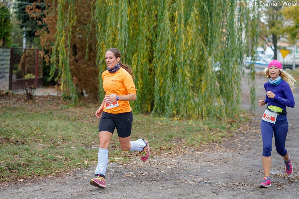 Nauczyciele lubią aktywność fizyczną. 