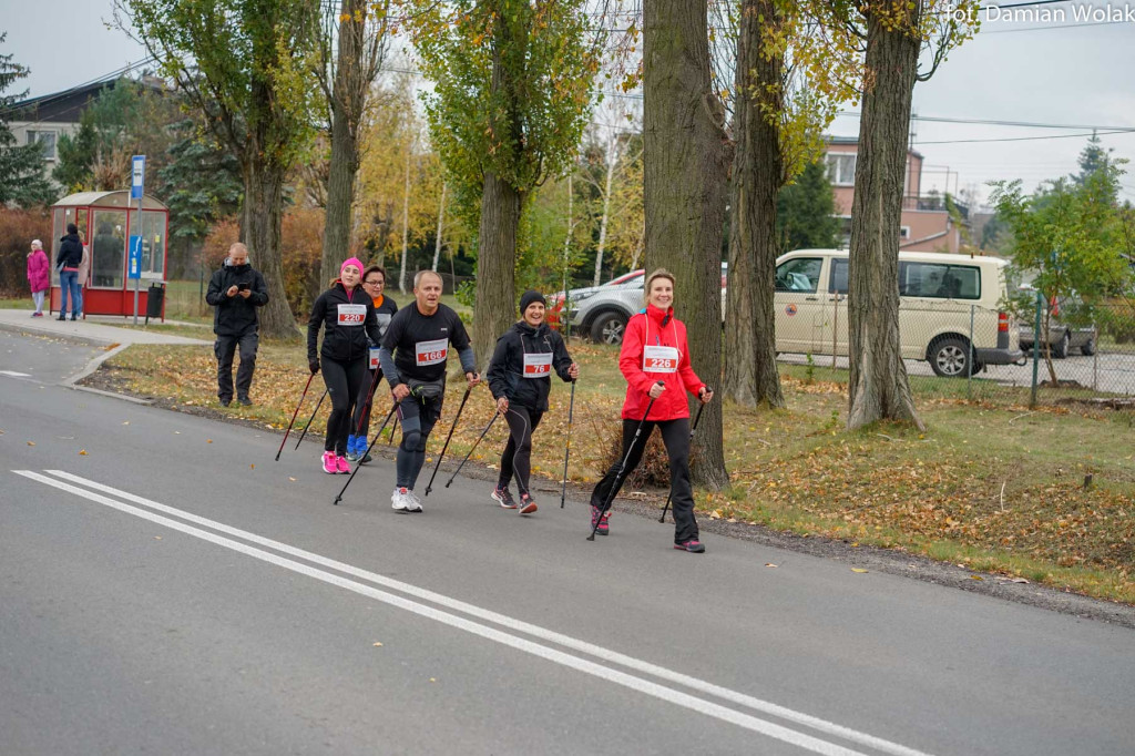 Nauczyciele lubią aktywność fizyczną. 