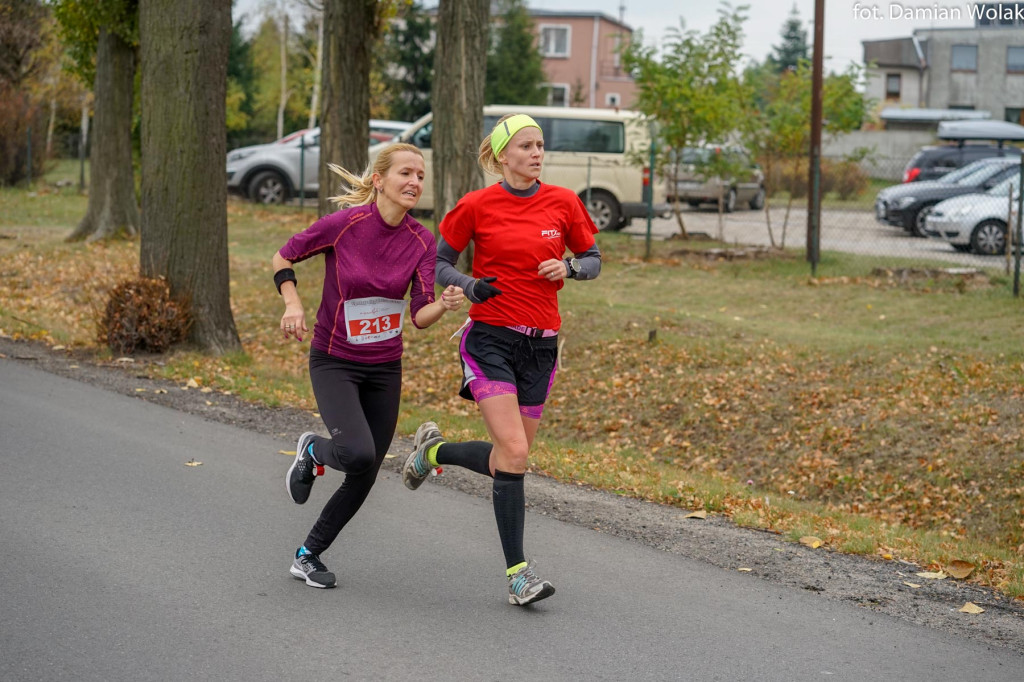 Nauczyciele lubią aktywność fizyczną. 