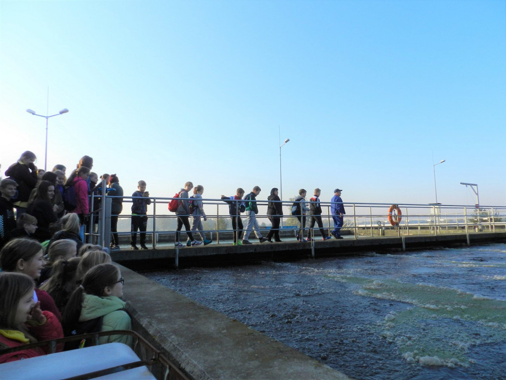 Nauka nie idzie w las