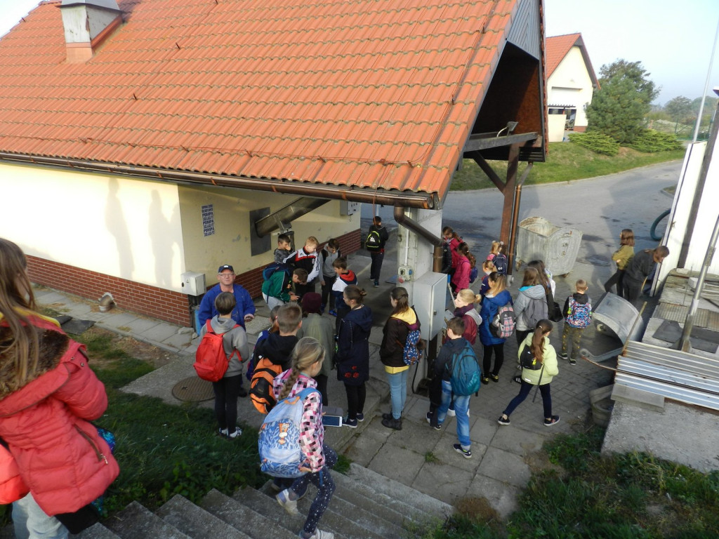 Nauka nie idzie w las