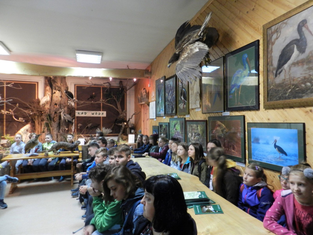 Nauka nie idzie w las