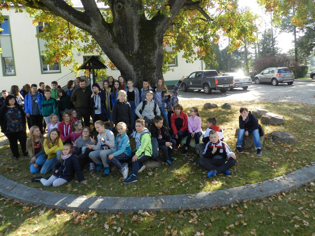 Nauka nie idzie w las