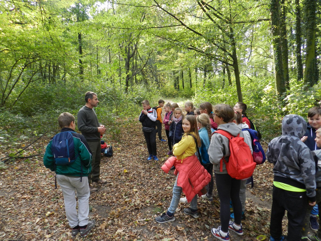 Nauka nie idzie w las