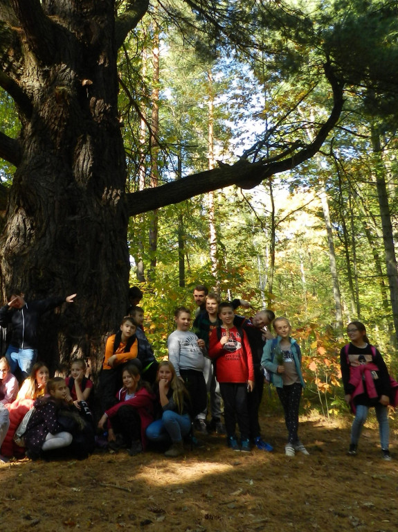 Nauka nie idzie w las