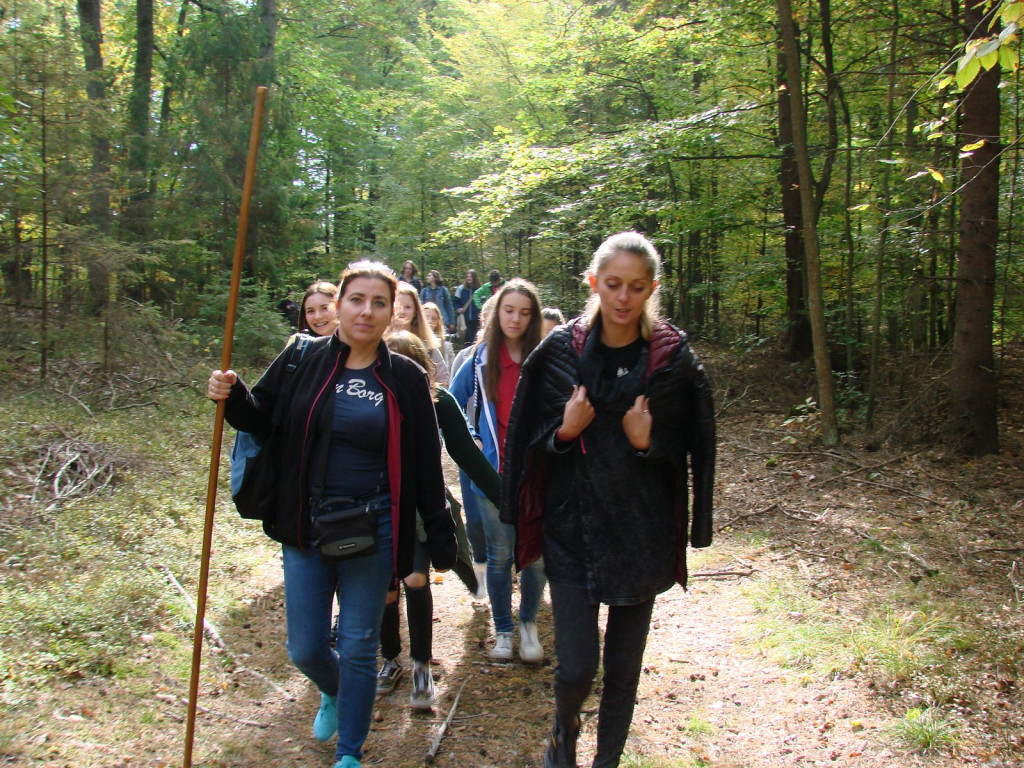 Nauka nie idzie w las