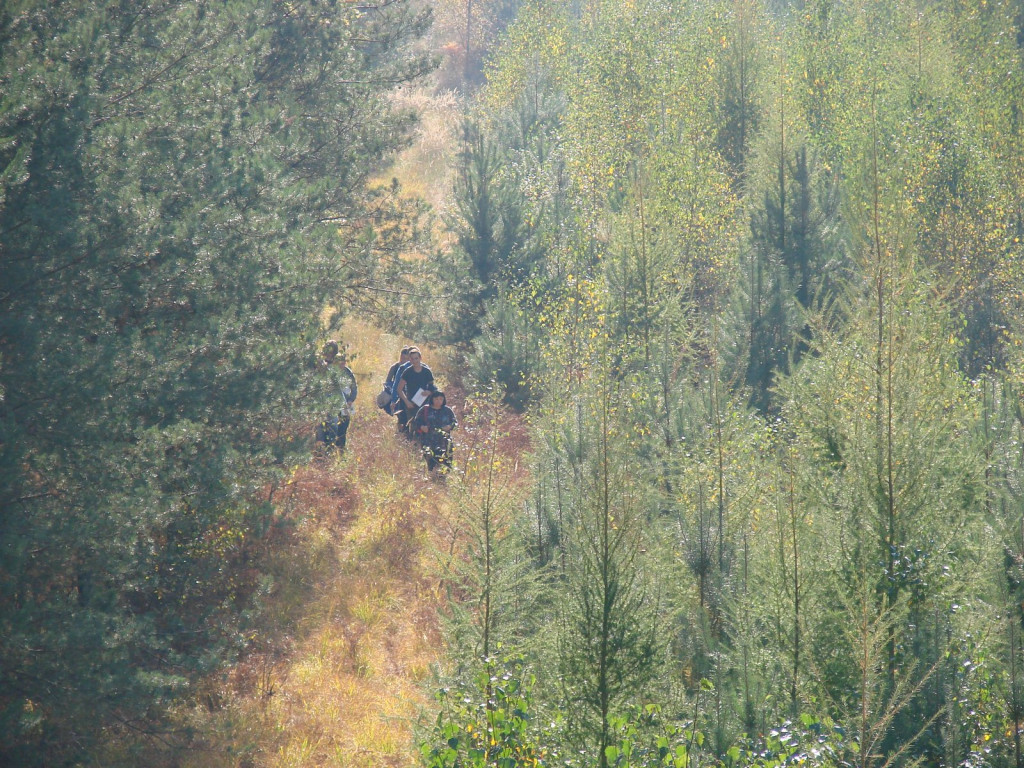 Nauka nie idzie w las