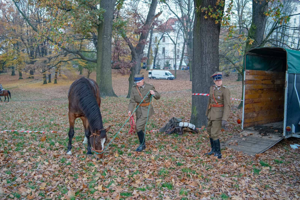 Obchody święta niepodległości w Brzegu. Piknik 