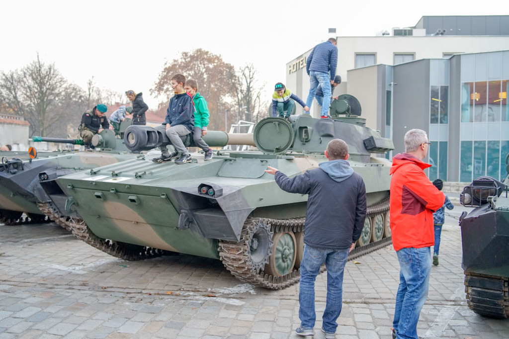 Obchody święta niepodległości w Brzegu. Piknik 