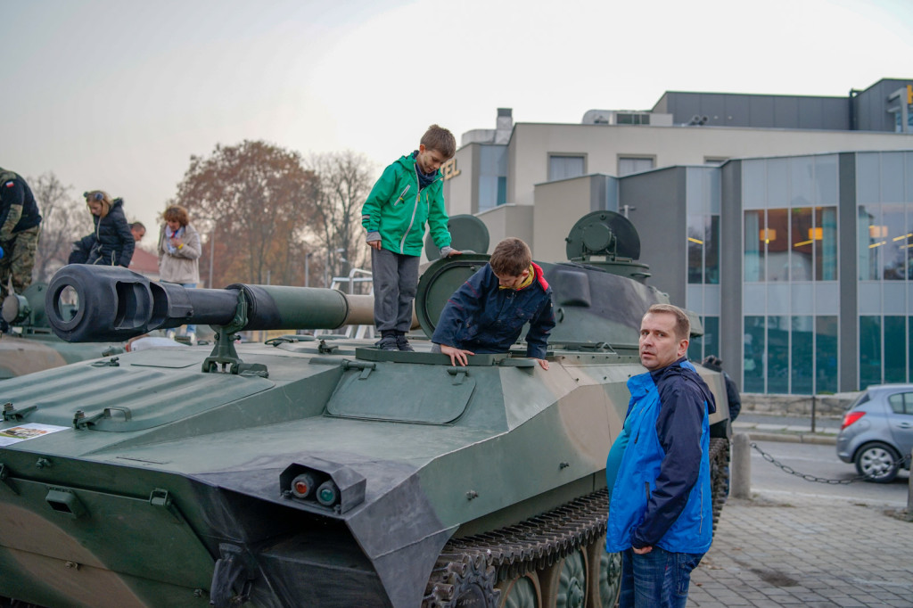 Obchody święta niepodległości w Brzegu. Piknik 