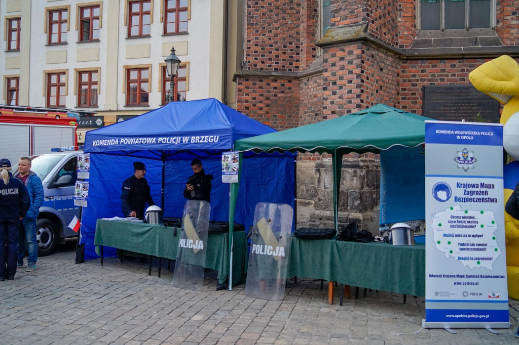 Obchody święta niepodległości w Brzegu. Piknik 