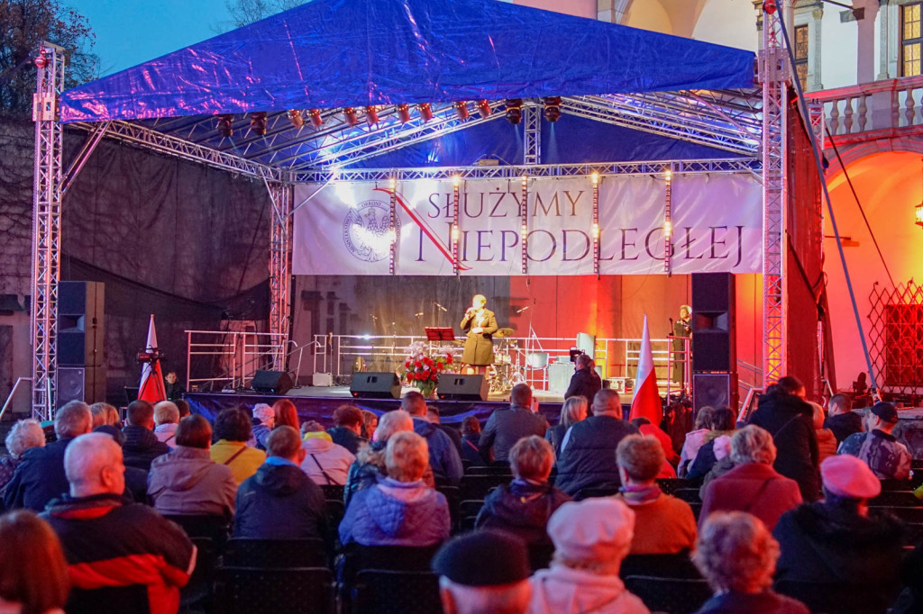 Obchody święta niepodległości w Brzegu. Piknik 