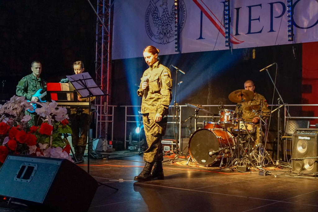 Obchody święta niepodległości w Brzegu. Piknik 