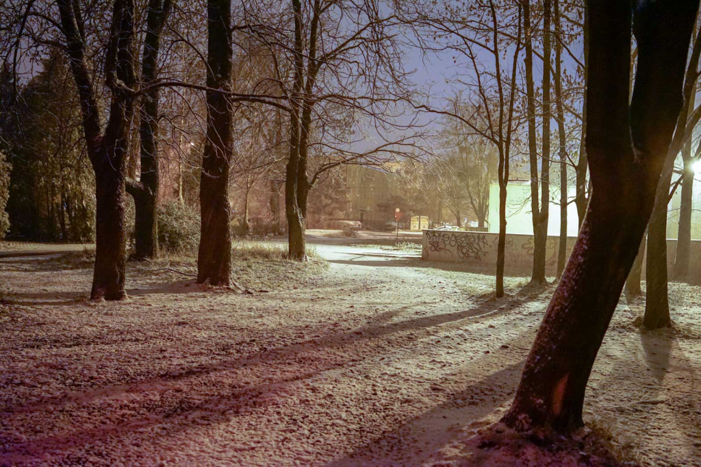 Pierwszy śnieg w Grodkowie [fotorelacja]