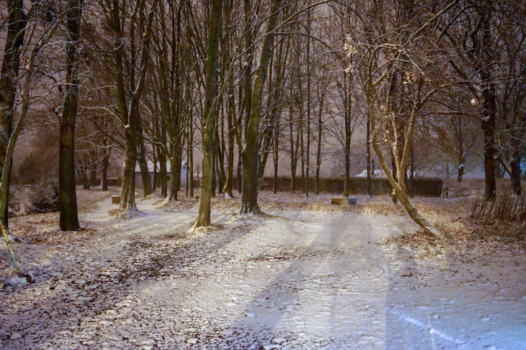 Pierwszy śnieg w Grodkowie [fotorelacja]