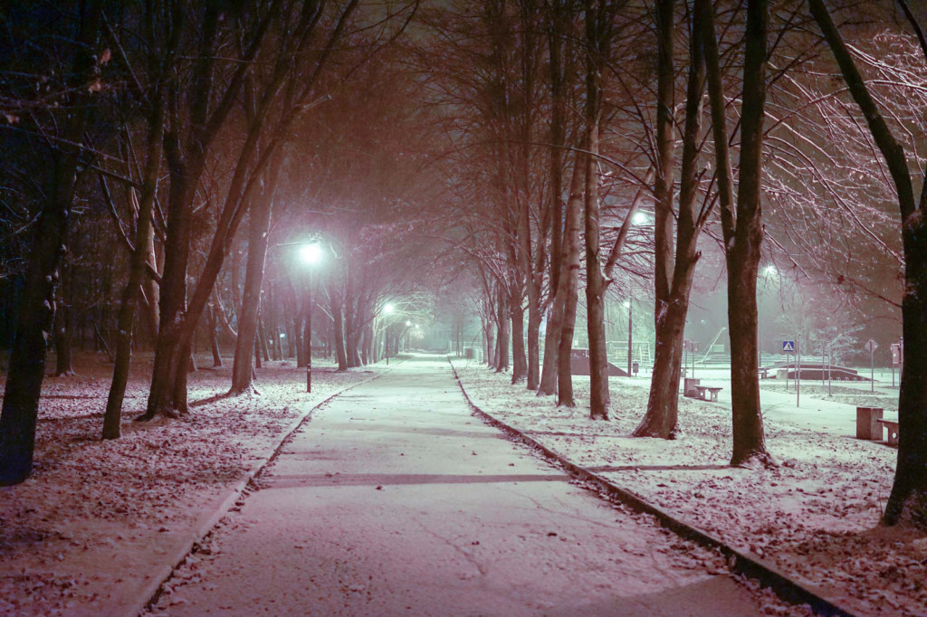 Pierwszy śnieg w Grodkowie [fotorelacja]