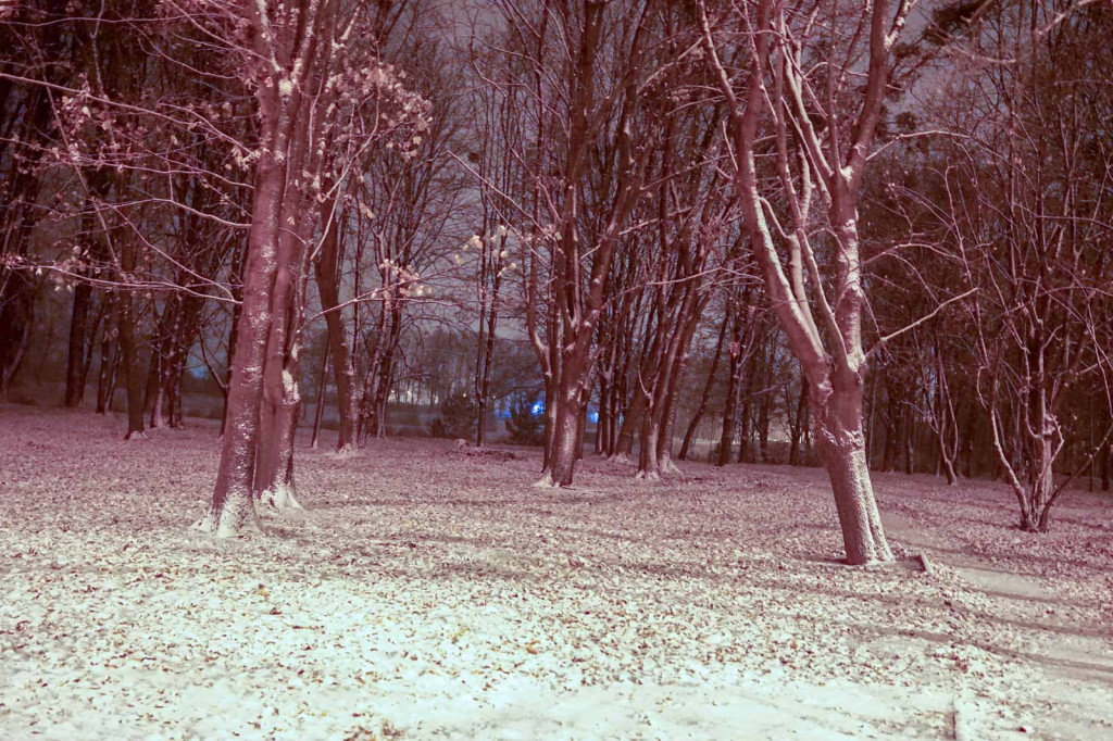 Pierwszy śnieg w Grodkowie [fotorelacja]