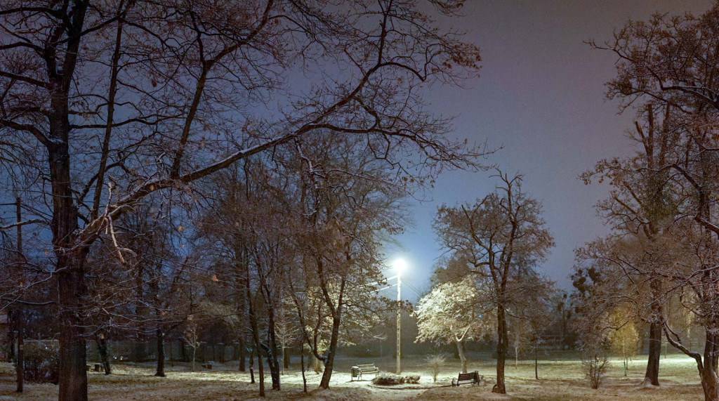 Pierwszy śnieg w Grodkowie [fotorelacja]