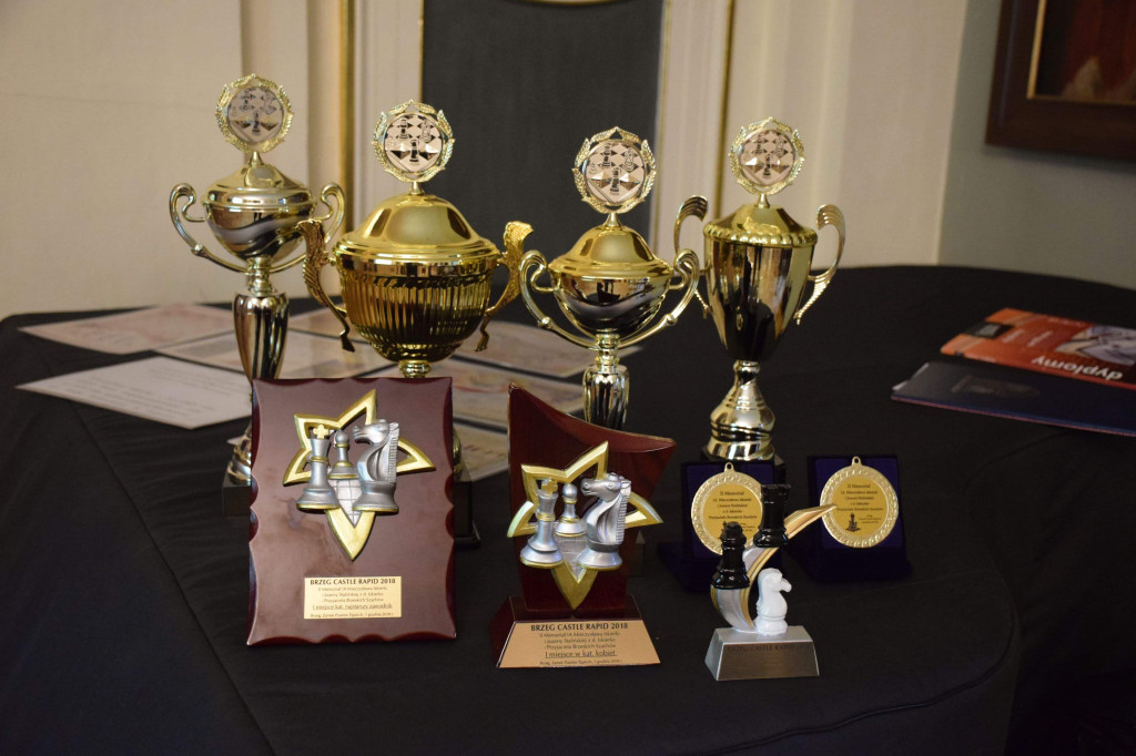 Szachiści rywalizowali na Zamku Piastów Śląskich w Brzegu