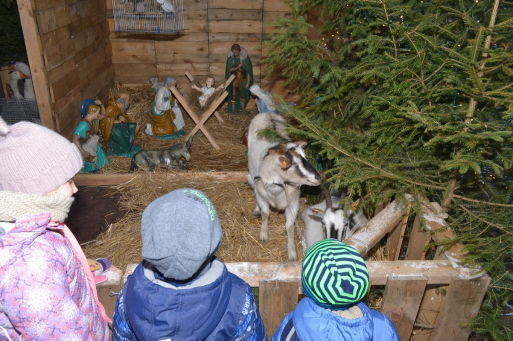 Drugi Orszak Trzech Króli w Lubszy