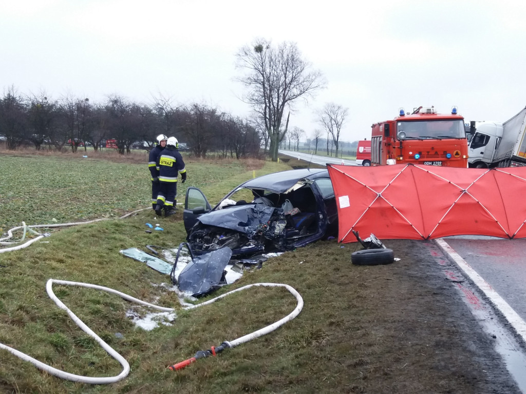 Dwie osoby zginęły w wypadku na DK 94 pod Strzelnikami