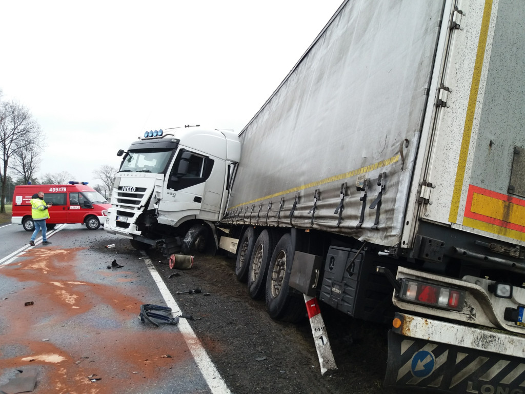 Dwie osoby zginęły w wypadku na DK 94 pod Strzelnikami