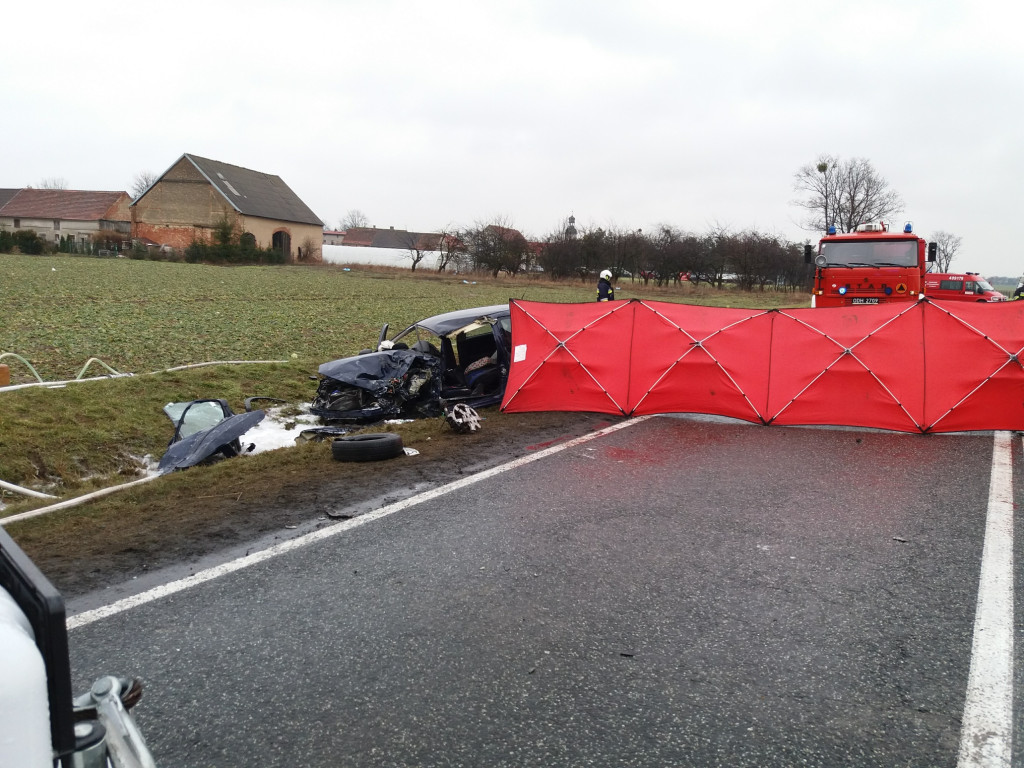 Dwie osoby zginęły w wypadku na DK 94 pod Strzelnikami
