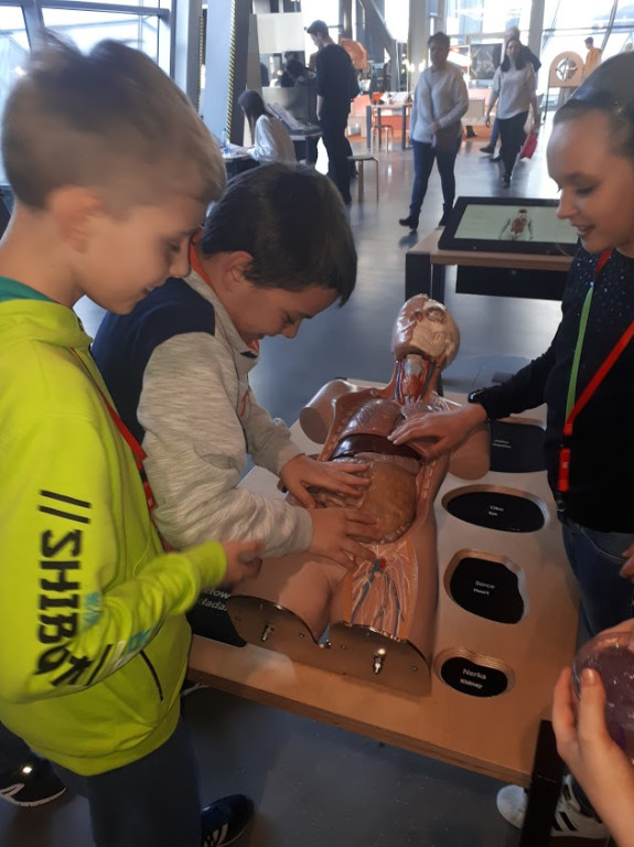 Piknik Matematyczny w Warszawie