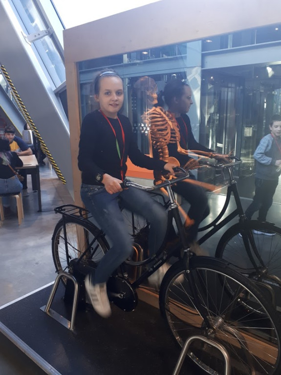 Piknik Matematyczny w Warszawie