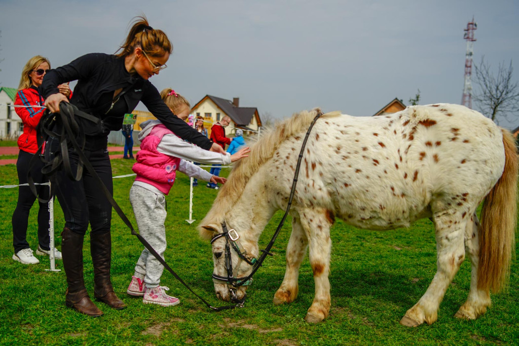 Uzbierali rekordową sumę dla Wiktora. Uczeń Ósemki stanie na nogi!